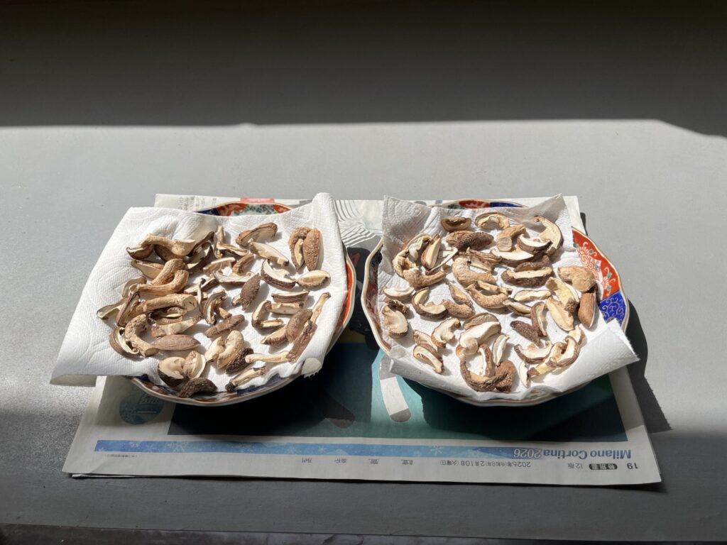 ベランダで干し椎茸を作る