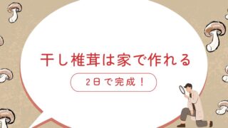 干し椎茸は家で作れる