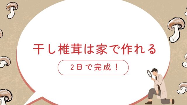 干し椎茸は家で作れる
