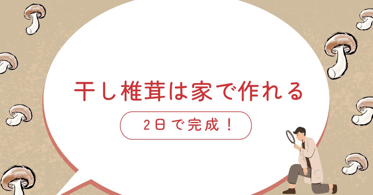 干し椎茸は家で作れる