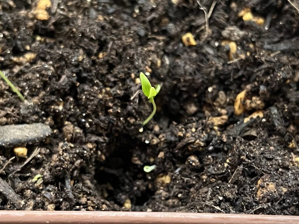 ②ぽっかりと穴が開く