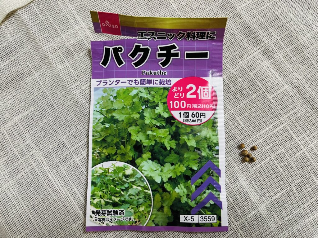 パクチー　ダイソー